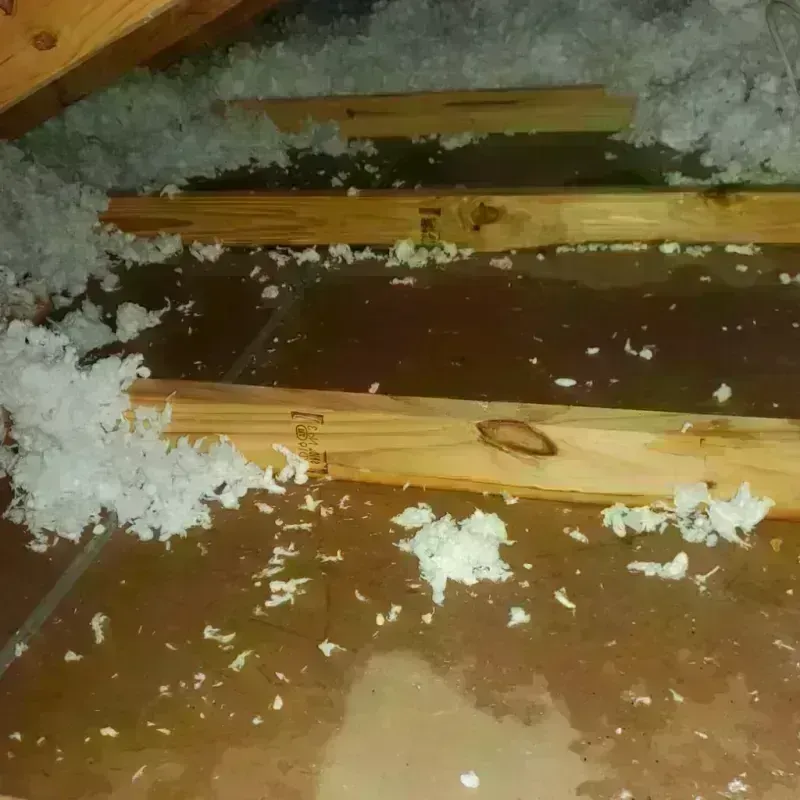 Attic Water Damage in Pecos County, TX